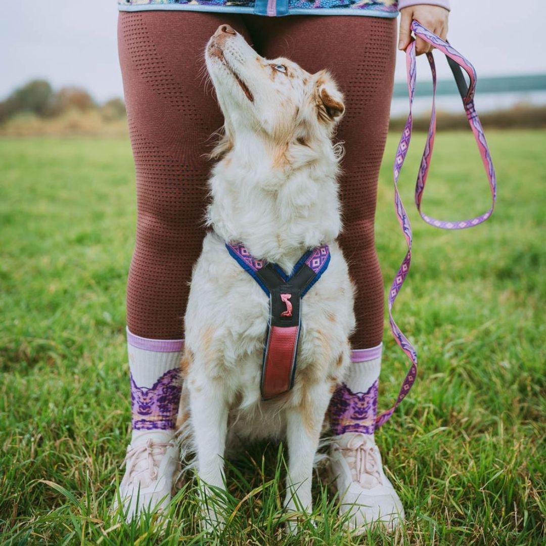 Correa Trail Quest Non Stop Dogwear Ed. Especial Rachel Pohl - Imagen 4