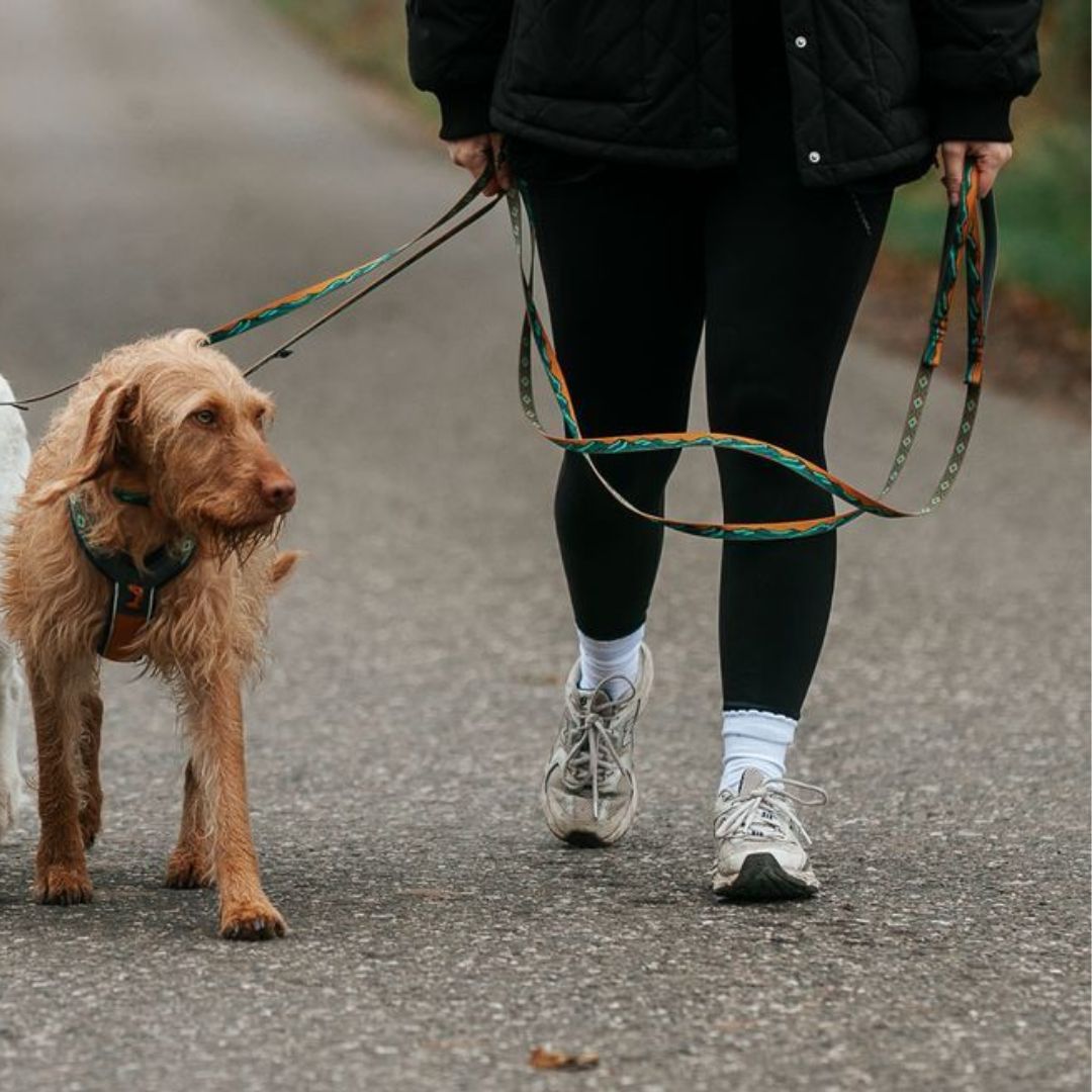 Correa Trail Quest Non Stop Dogwear Ed. Especial Rachel Pohl - Imagen 5