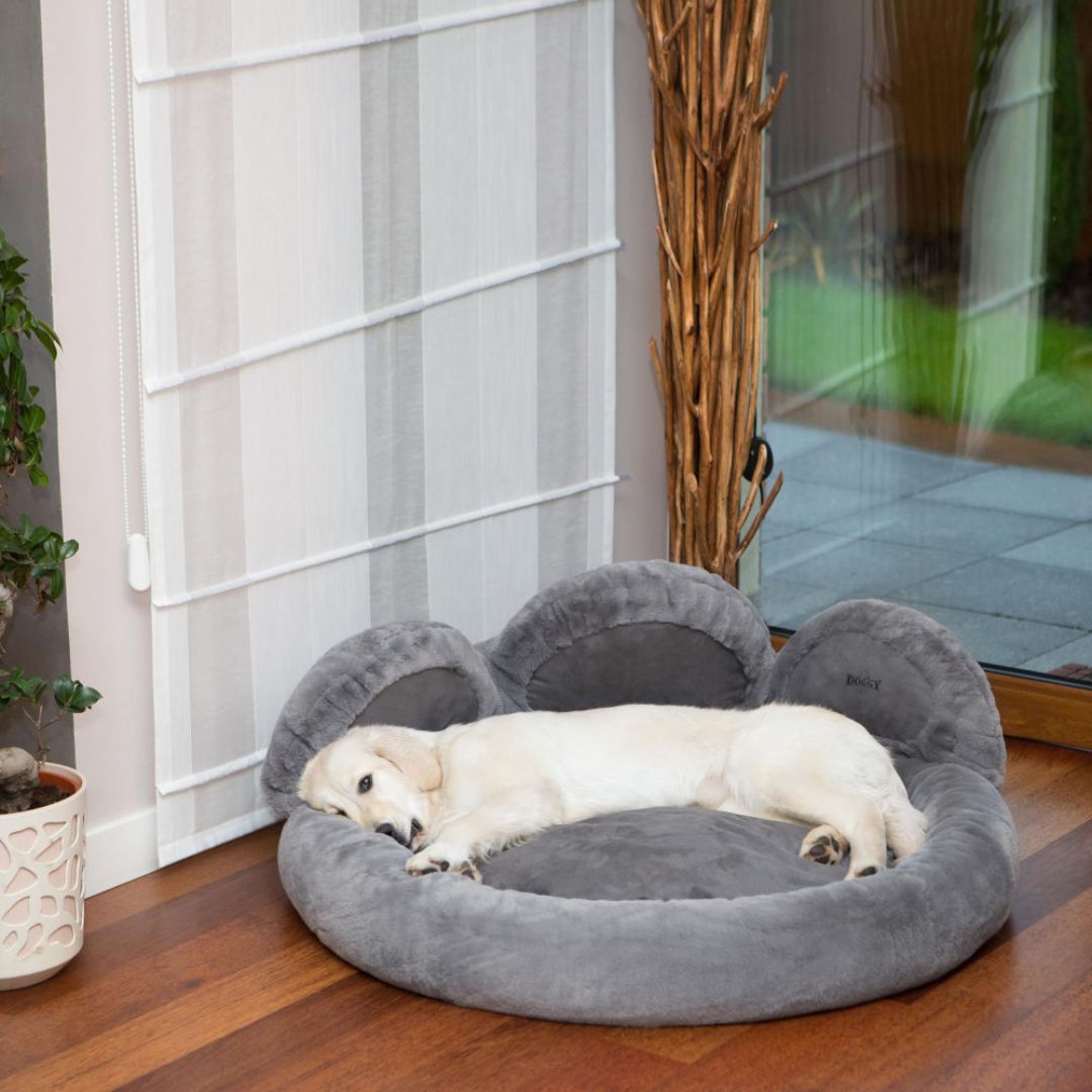 Cama Zarpa - Imagen 8