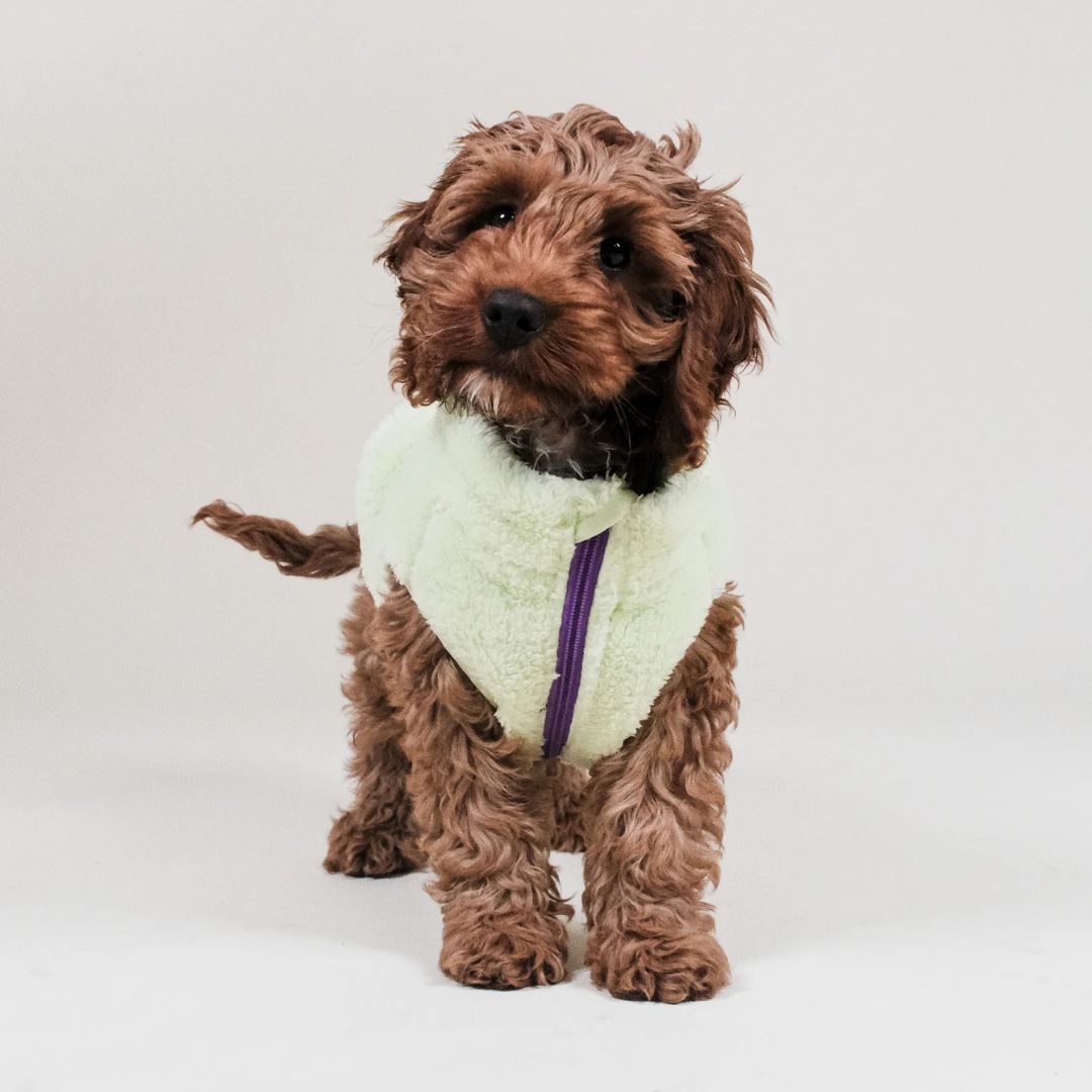 BARC LONDON – Forro polar verde