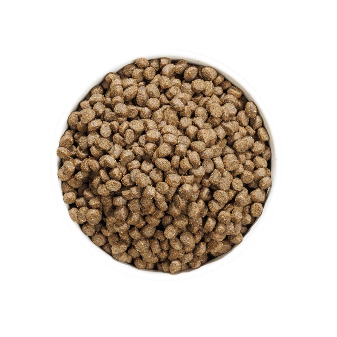 Pienso Ownat Gato – Just Grain Free Chicken - Imagen 2