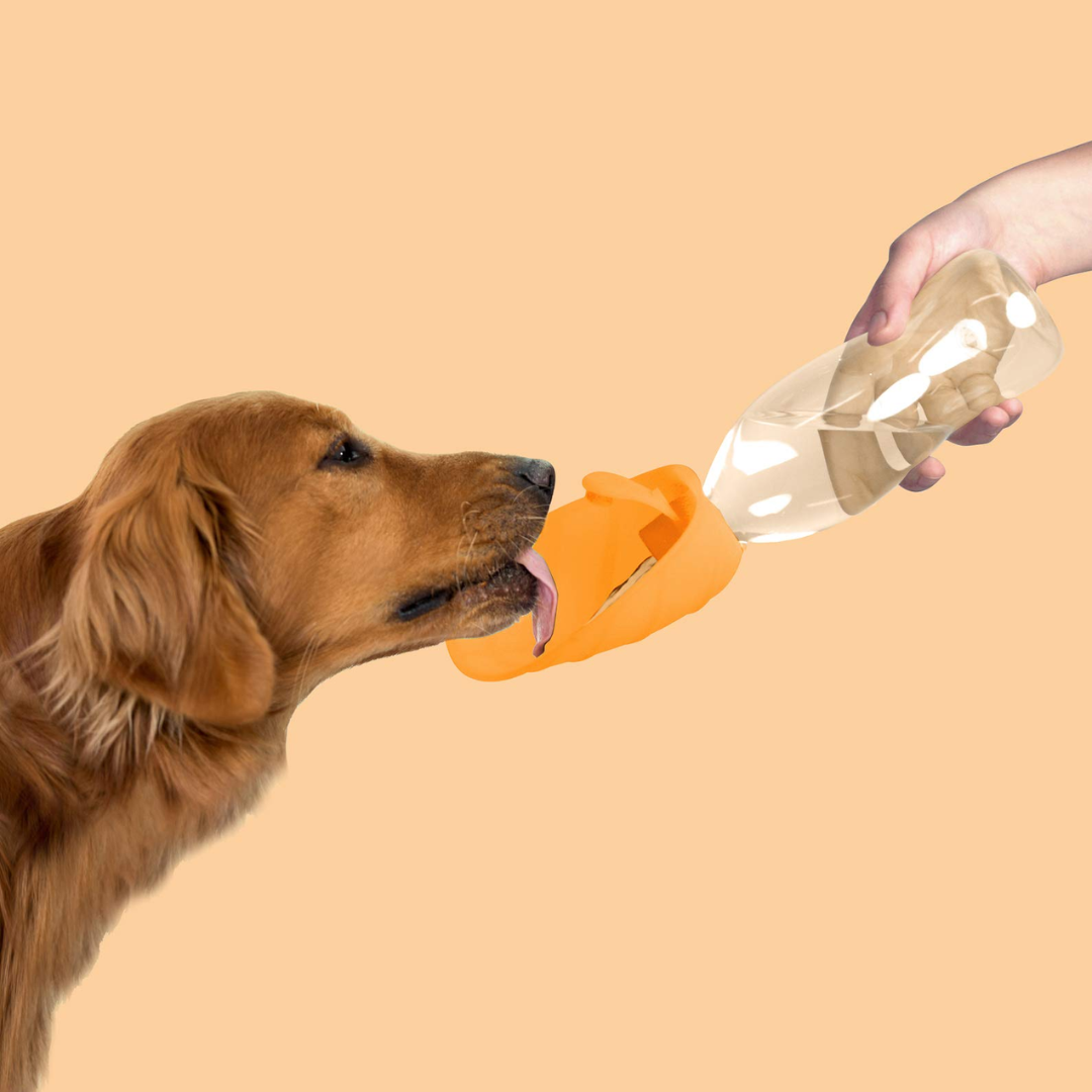 United Pets – Bebedero portátil Leaf - Imagen 3
