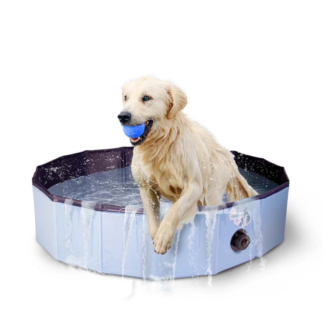 Coolpets – Piscina para perros - Imagen 2