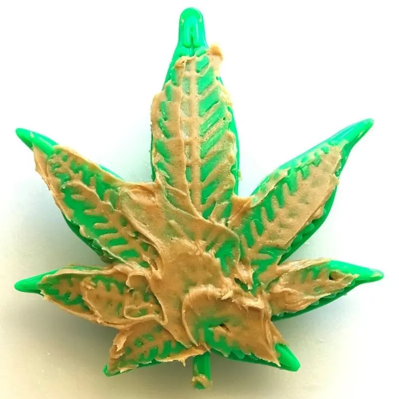 Juguete Mordedor Hoja de Maria Sodapup - Imagen 2