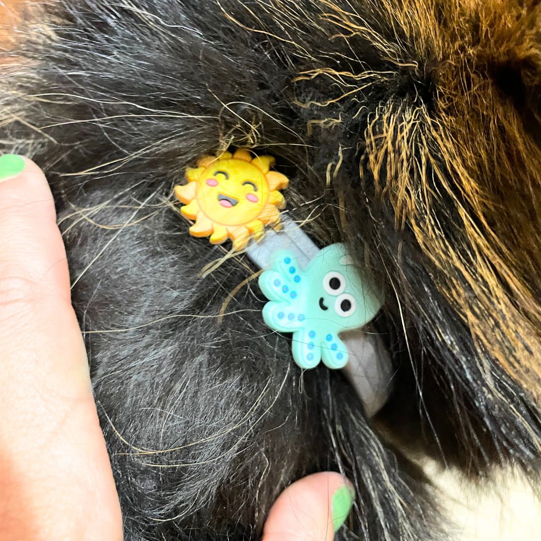 Pins para collar antiparasitario – Halloween - Imagen 5