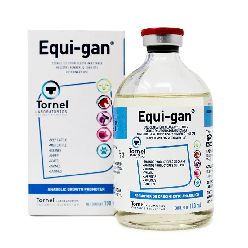 Equi-gan - Imagen 4