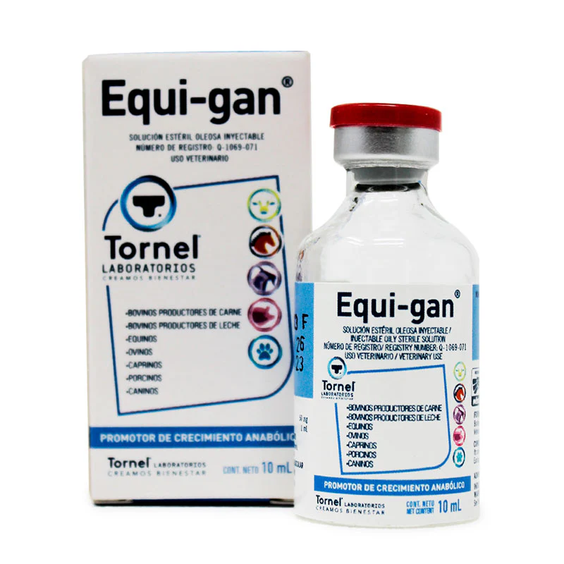 Equi-gan - Imagen 2