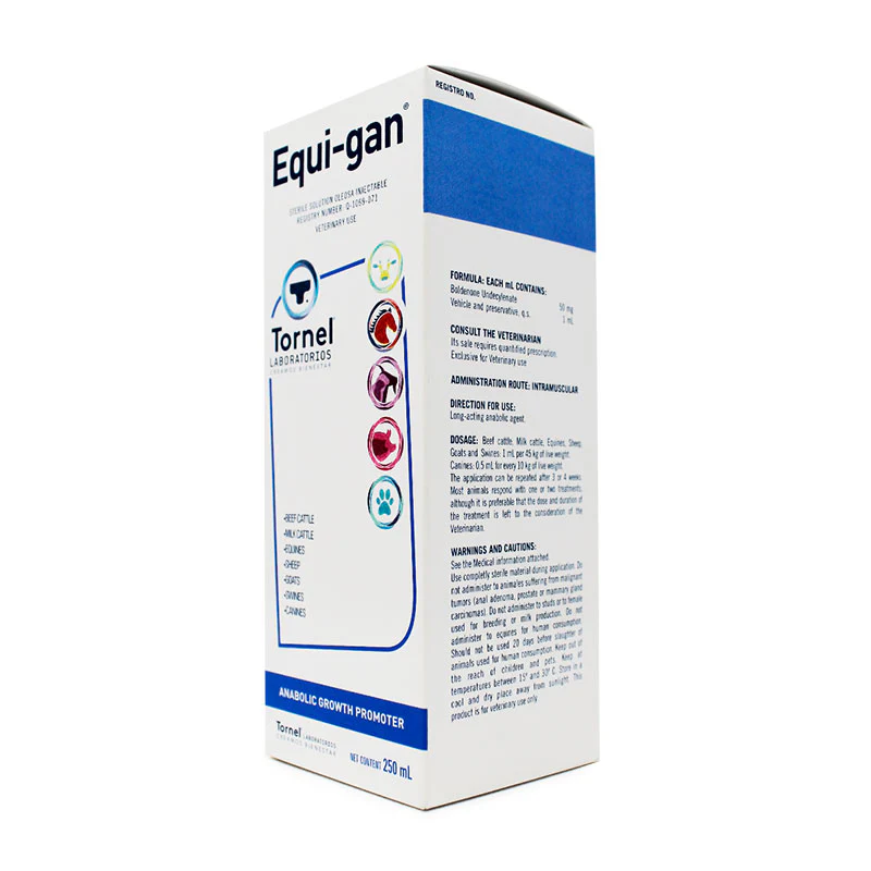 Equi-gan - Imagen 7