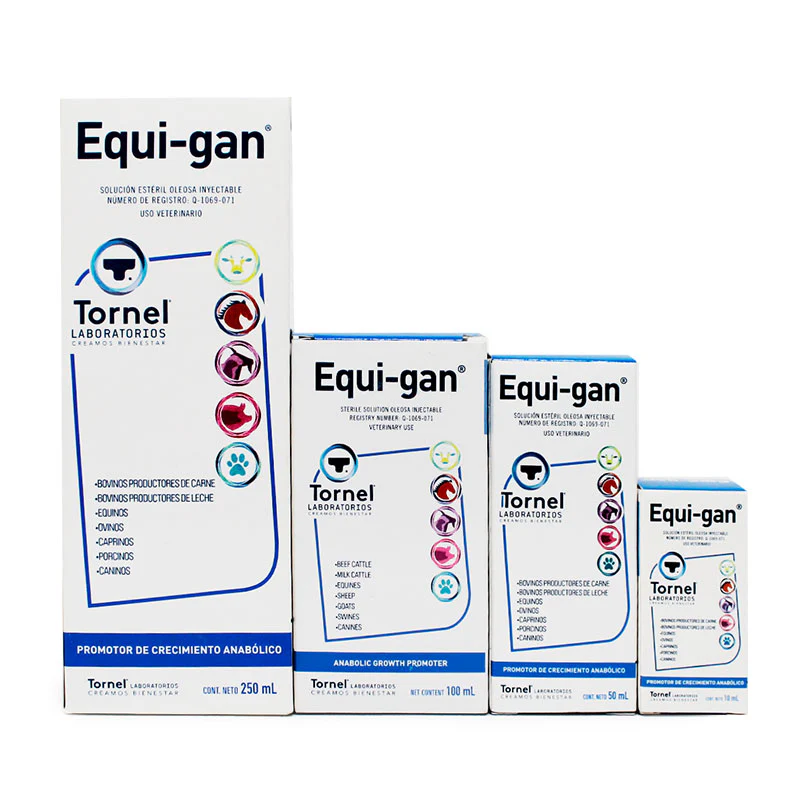 Equi-gan