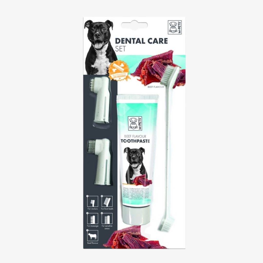 Set dental: Cepillos de dientes + pasta - Imagen 2