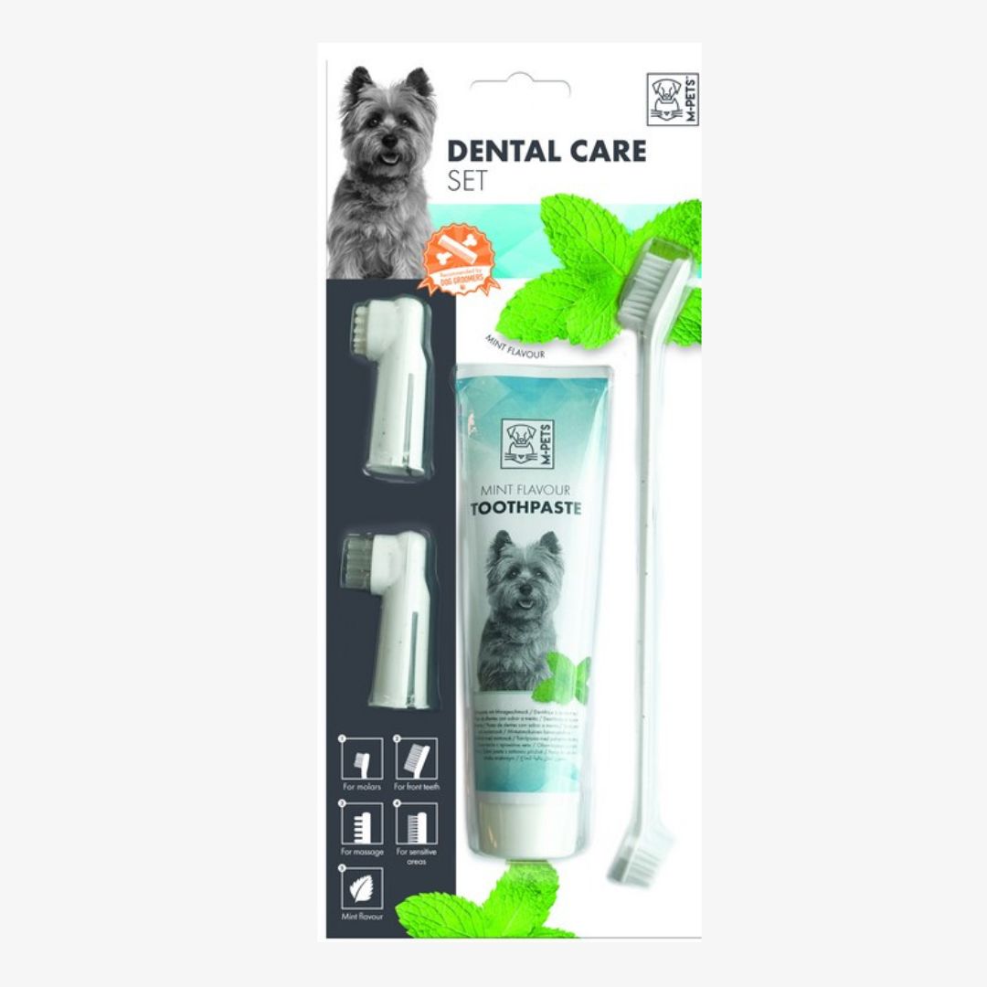 Set dental: Cepillos de dientes + pasta - Imagen 3