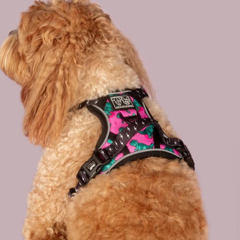 Arnés para perro todoterreno Princess-Asaurus - Imagen 4