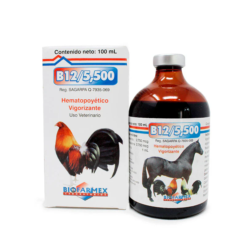 B12/5,500 - Imagen 5