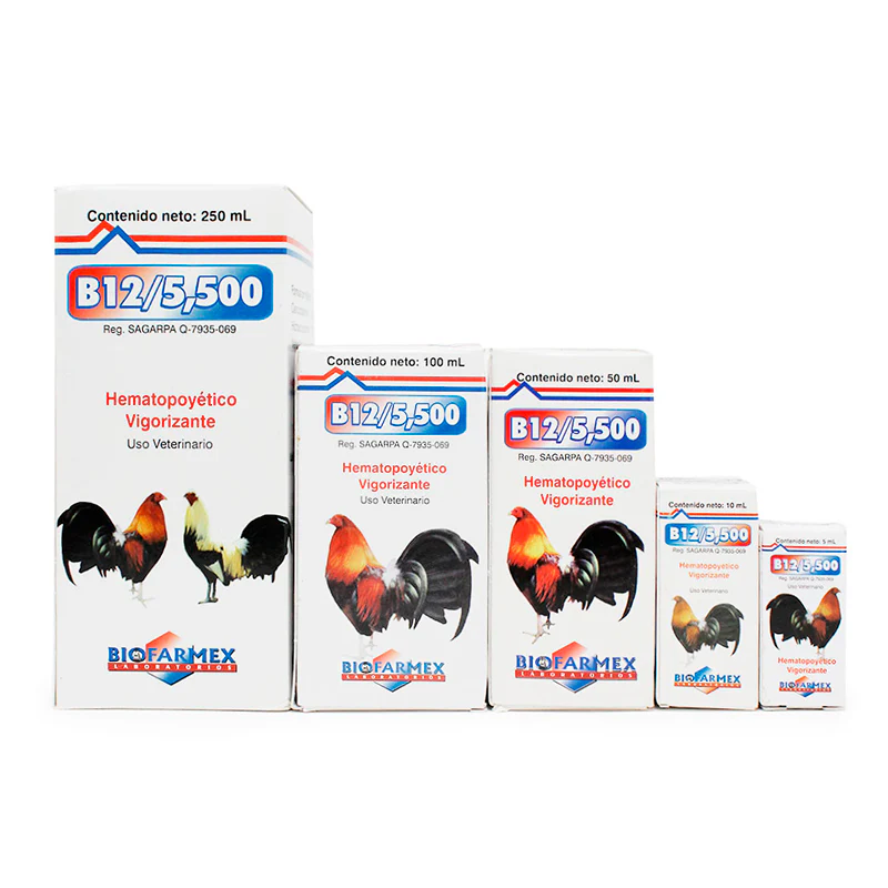 B12/5,500