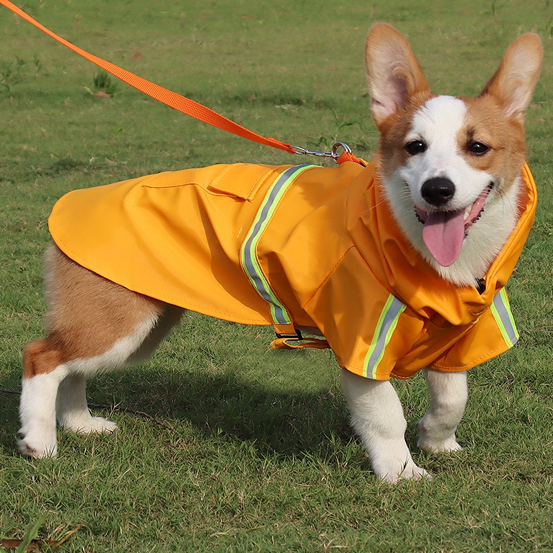 Awachau (Impermeable) - Imagen 5