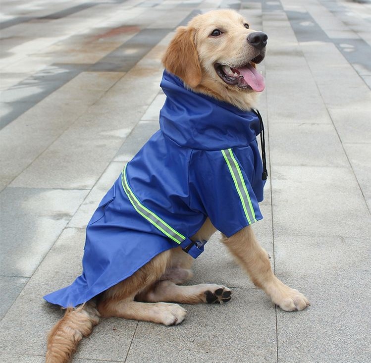 Awachau (Impermeable) - Imagen 2