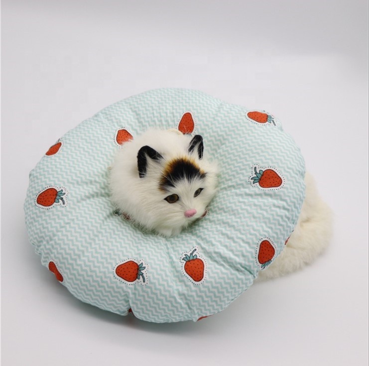 Dona Ramona (Collar Isabelino para Gato) - Imagen 7