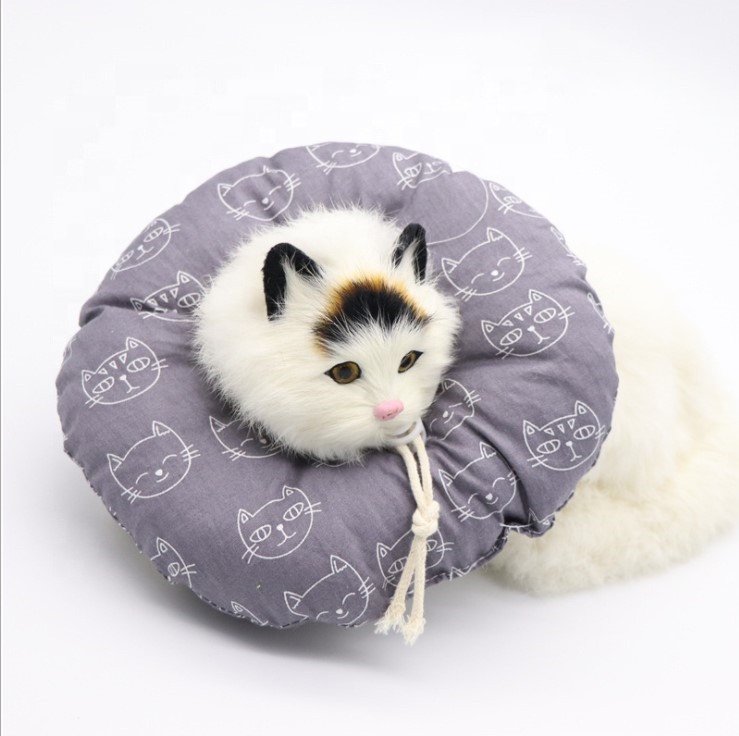 Dona Ramona (Collar Isabelino para Gato) - Imagen 6