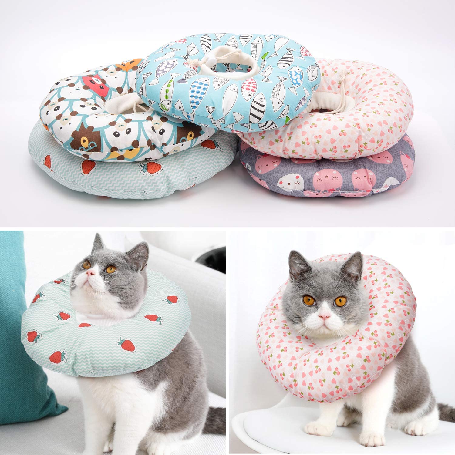 Dona Ramona (Collar Isabelino para Gato) - Imagen 2