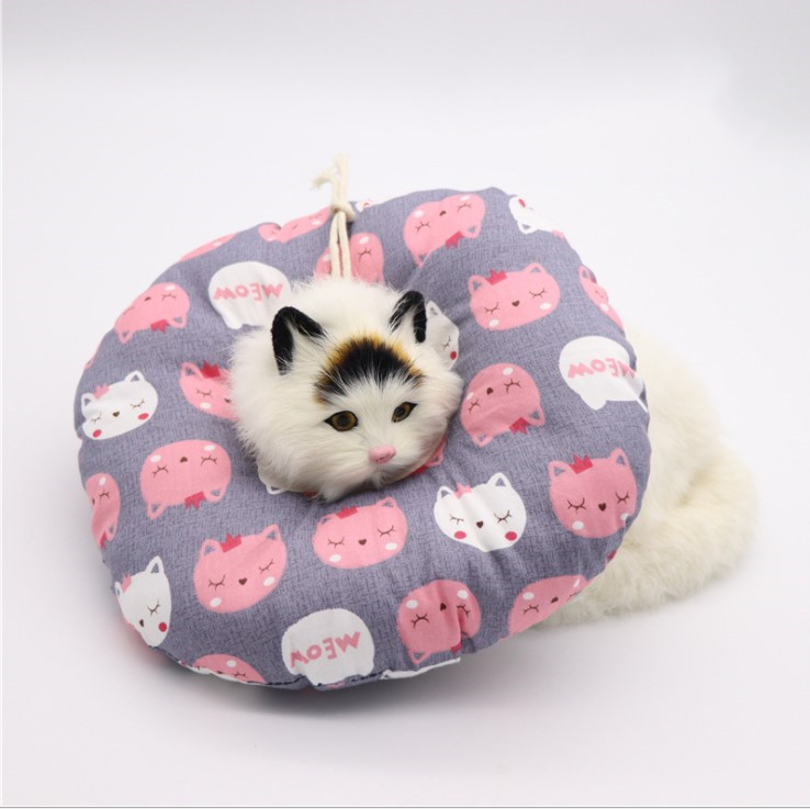 Dona Ramona (Collar Isabelino para Gato)