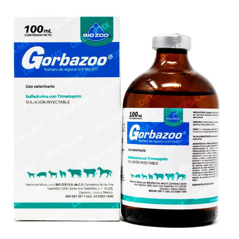 Gorbazoo - Imagen 5