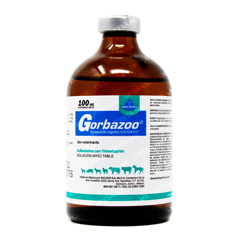 Gorbazoo - Imagen 7