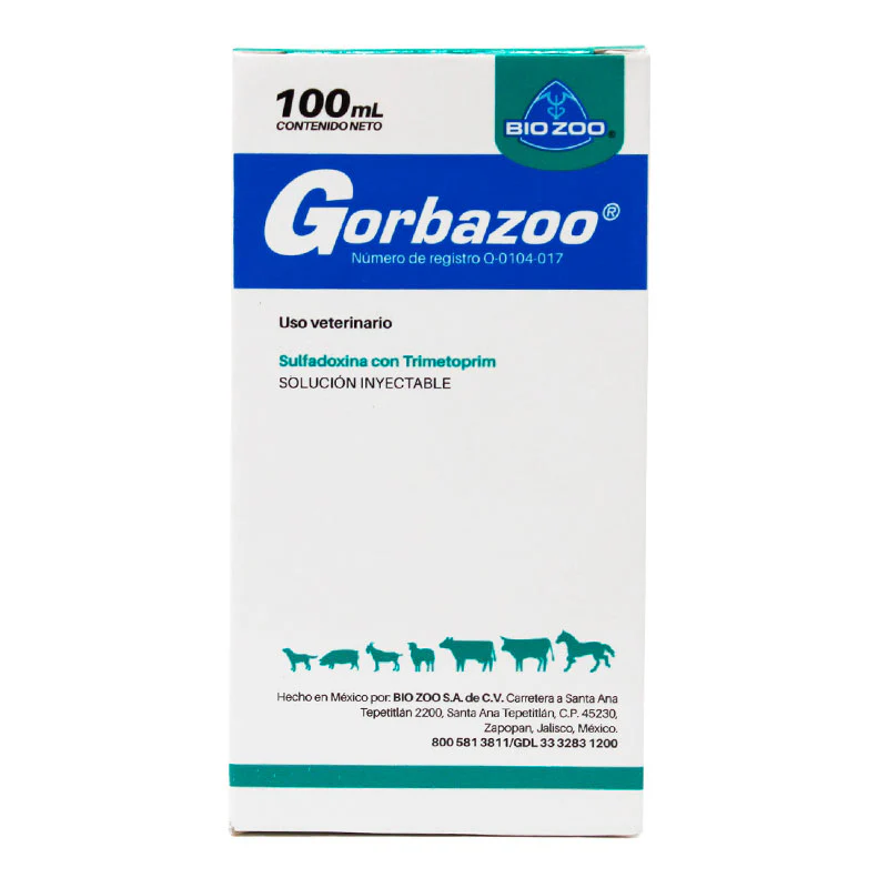 Gorbazoo - Imagen 3