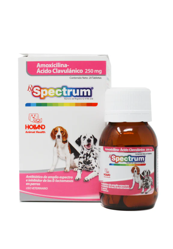 RX Spectrum® Amoxicilina-Ácido Clavulánico tabletas - Imagen 2