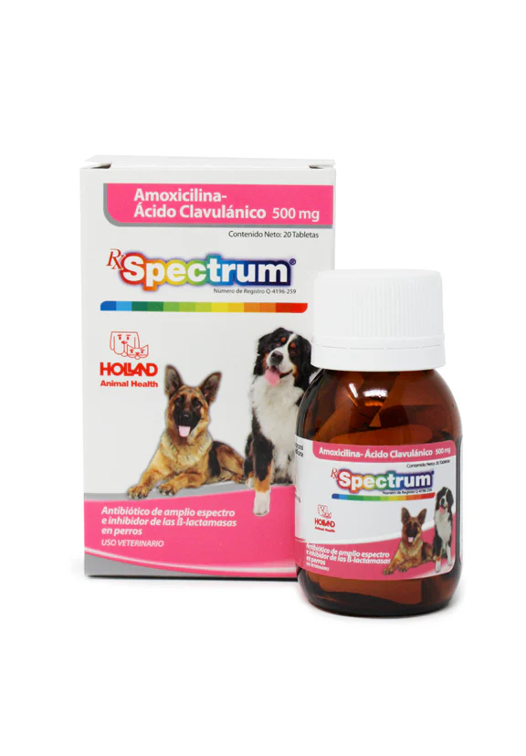 RX Spectrum® Amoxicilina-Ácido Clavulánico tabletas - Imagen 3