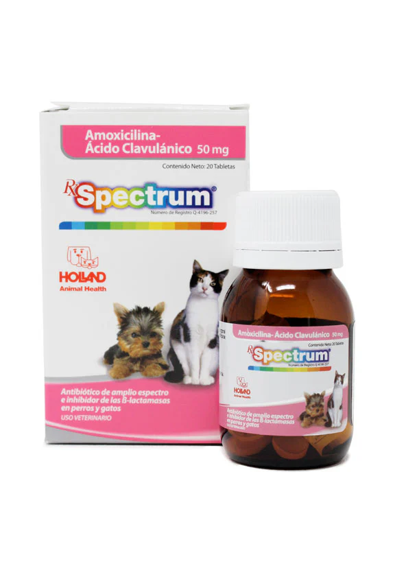 RX Spectrum® Amoxicilina-Ácido Clavulánico tabletas