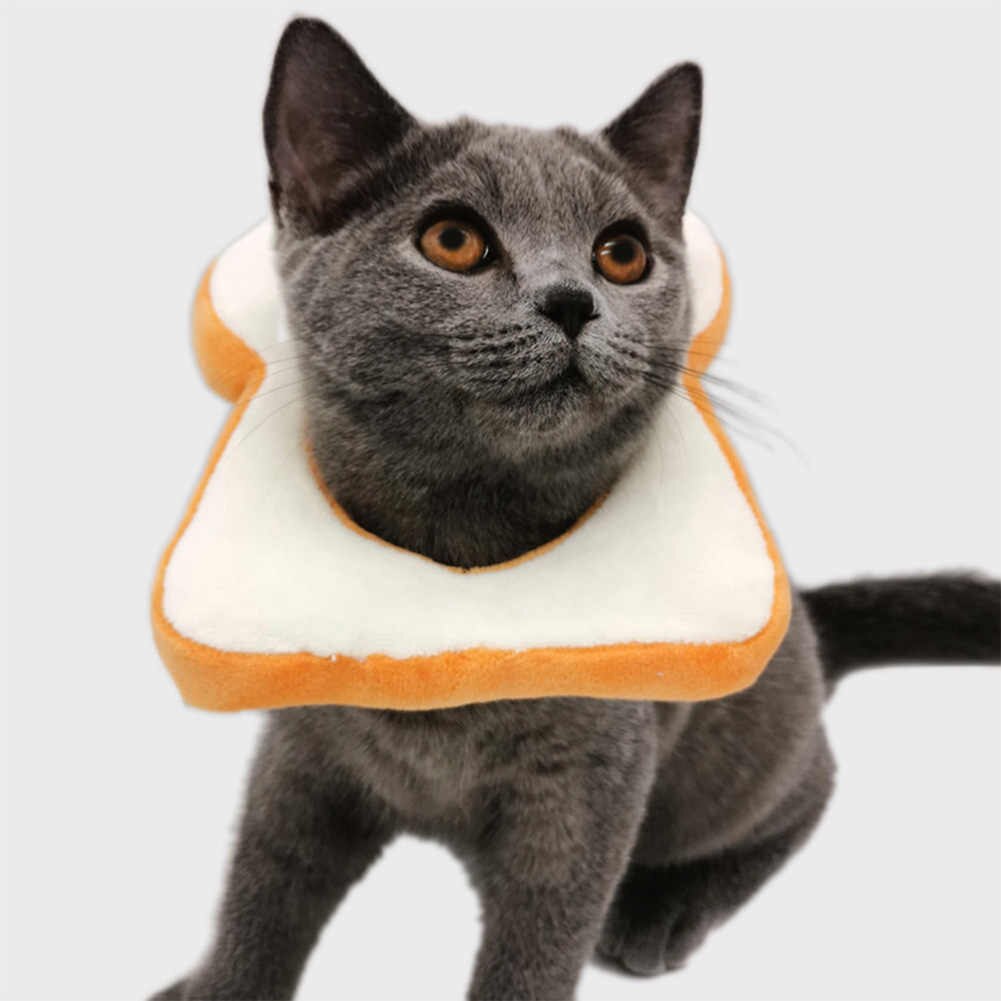 Sandwich de Isabel (Collar Isabelino para Gato) - Imagen 8