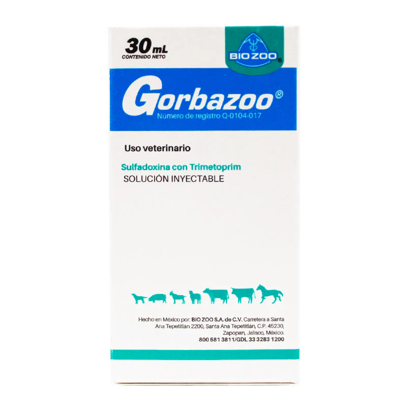 Gorbazoo - Imagen 8
