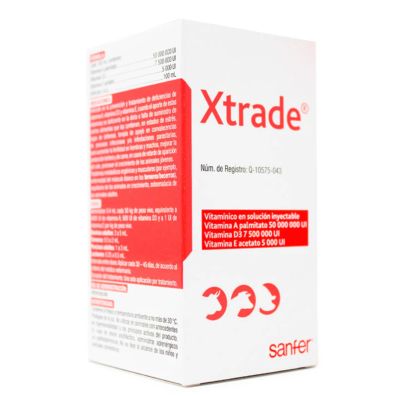 Xtrade® - Imagen 2